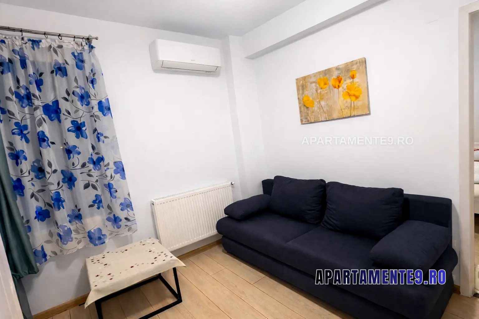Apartamente 9 - Apartament Oana (Baile Felix)