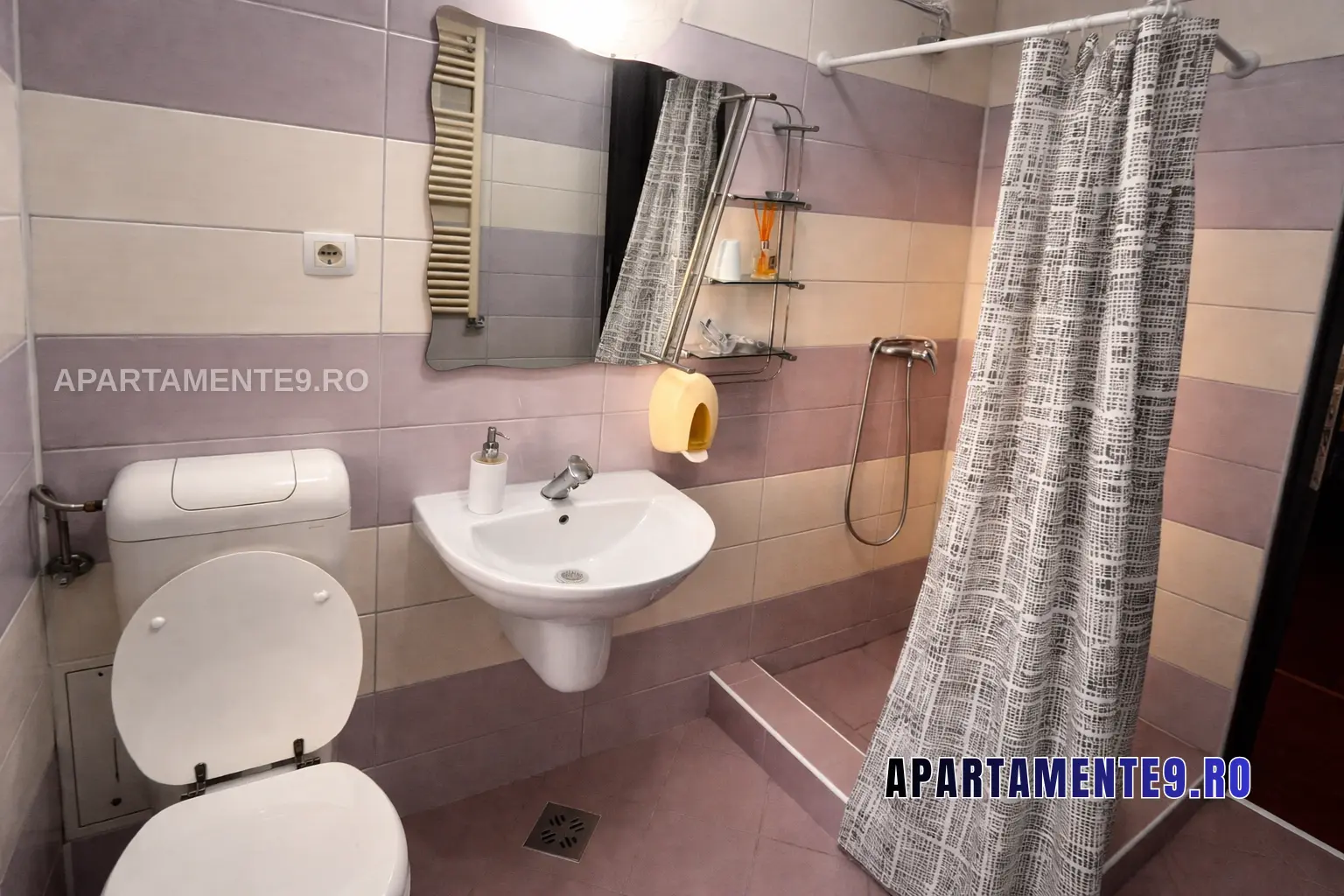 Apartamente 9 - Apartament Laviniu (Baile Felix)